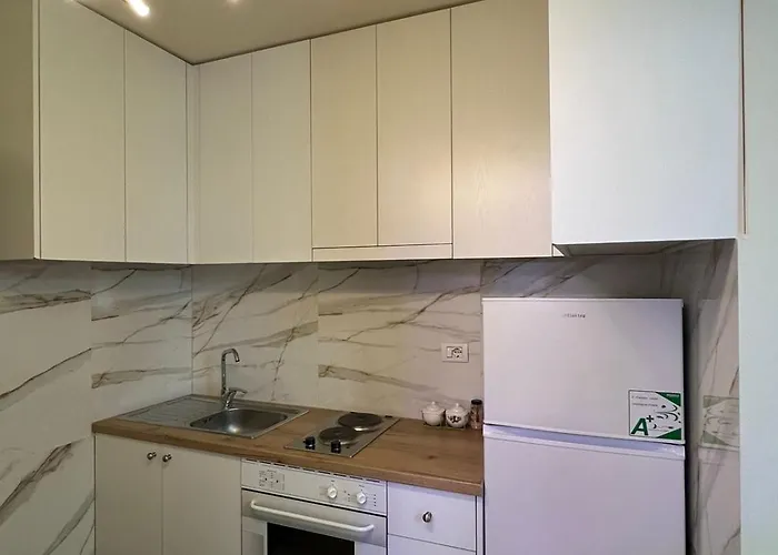 Condor Center Luxury 地拉那